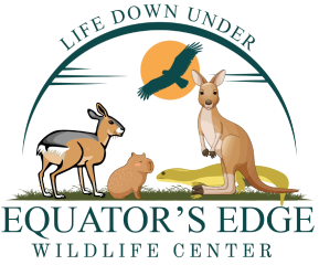 Equators Edge Wildlife Center